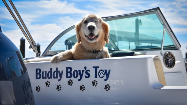 Freedom Boat Club named a boat named Buddy Boy, who was injured in the 2010 BP oil spill.