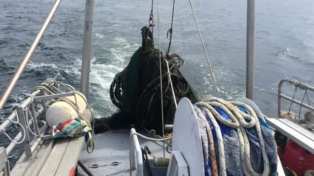 A 1,500-pound mass of tangled, derelict fishing net that looked “like it was breathing” slowly comes aboard a TowBoatUS boat in Ocean City, Md., a day before 12 rehabilitated sea turtles were released nearby.