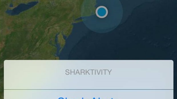 The new Sharktivity app will provide shark alerts and enable the public to report sightings.