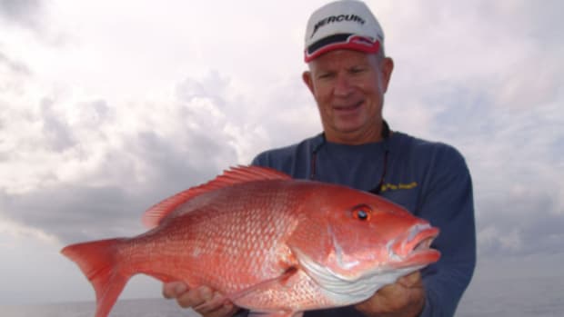 Red-snapper
