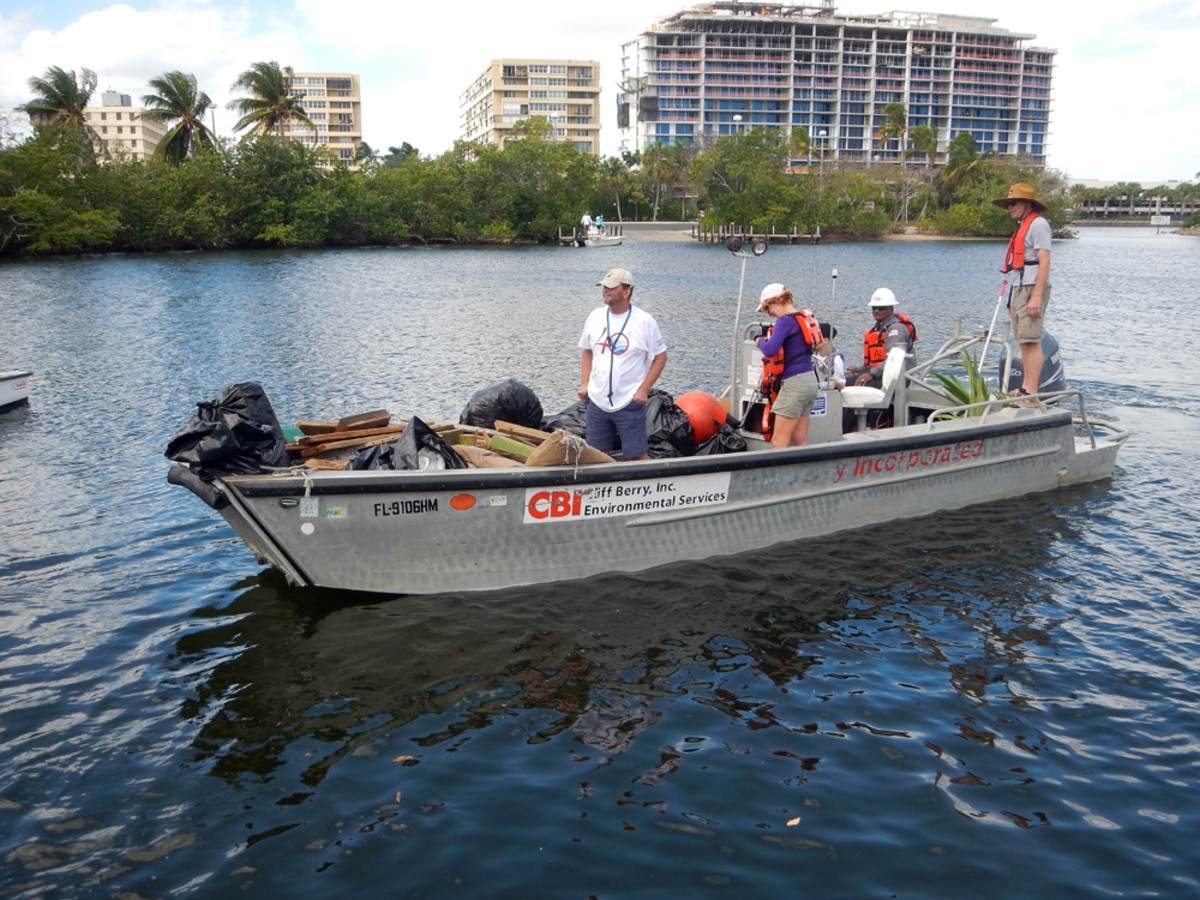 Nearly 2,000 volunteers participated in the Broward County Waterway Cleanup this year.