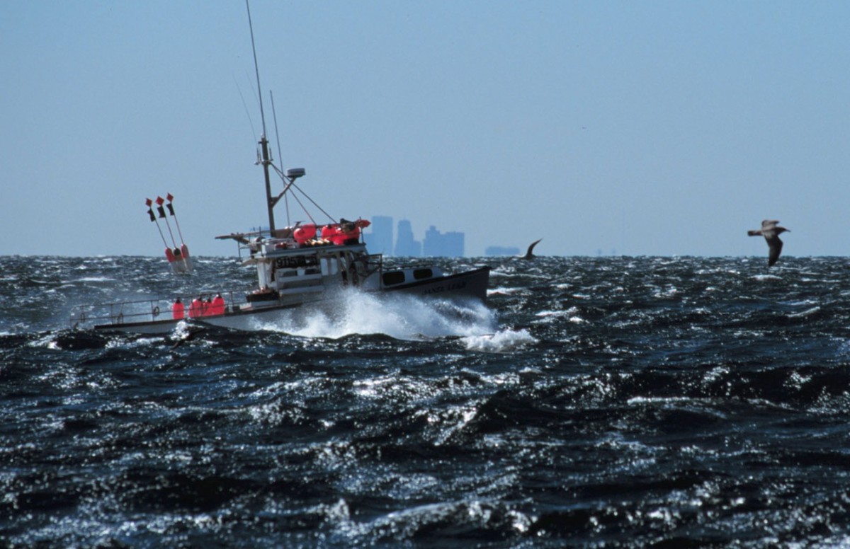 Recreational and commercial boats like the one shown here can fish in Stellwagen Bank National Marine Sanctuary. 