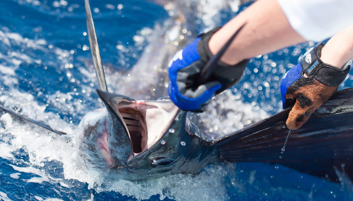 Photo: Center for Sportfishing Policy