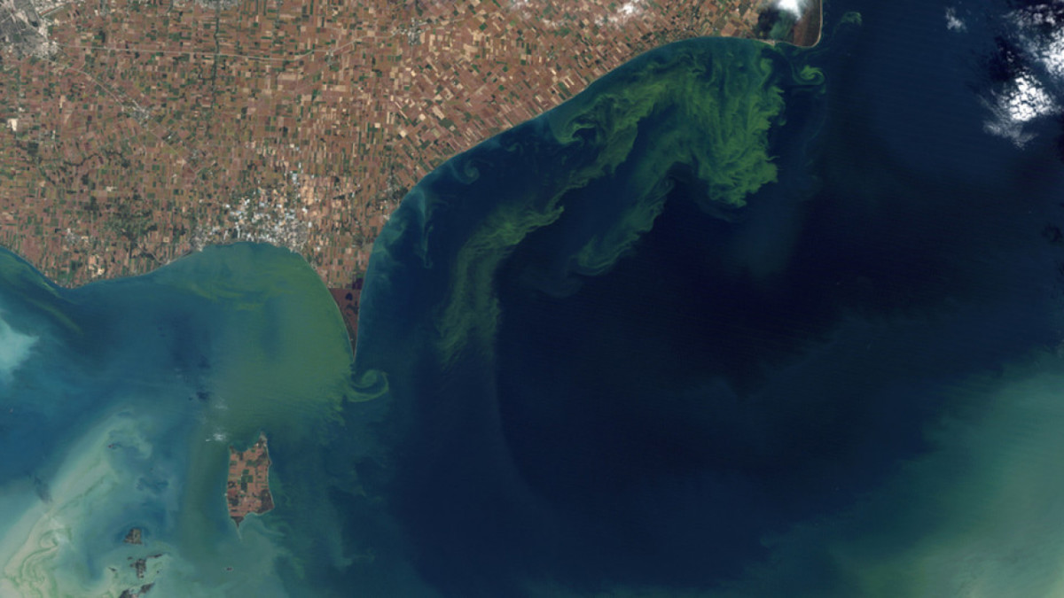 The Clean Water Act doesn’t specifically target non-point pollution, such as algal blooms triggered by agricultural and other runoff. 